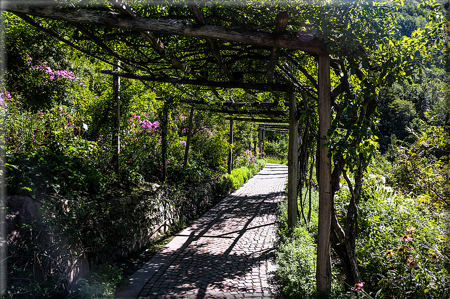 foto Giardini Trauttmansdorff - Paesaggi dell'Alto Adige